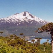volcan LLaima, parc national Conguillío