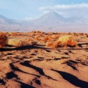désert d'Atacama et volcan Licancabur